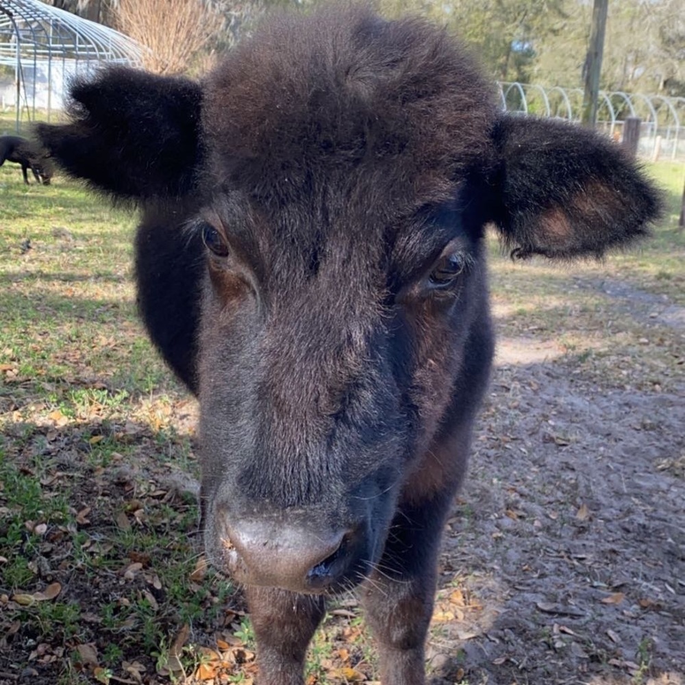 Meet your Posher, Gabby